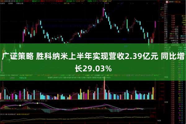 广证策略 胜科纳米上半年实现营收2.39亿元 同比增长29.03%