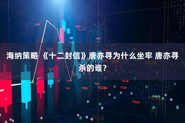 海纳策略 《十二封信》唐亦寻为什么坐牢 唐亦寻杀的谁？
